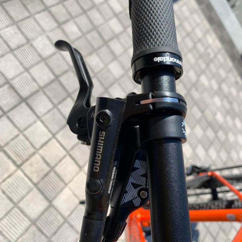 Cannondale FSI Carbono Ballistek